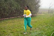 DSC00482 DSC00482